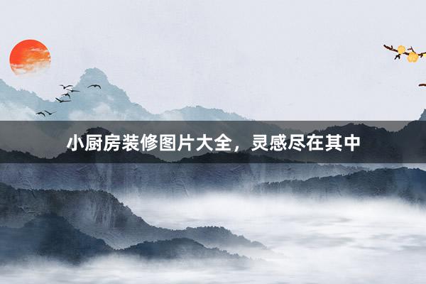 小厨房装修图片大全，灵感尽在其中